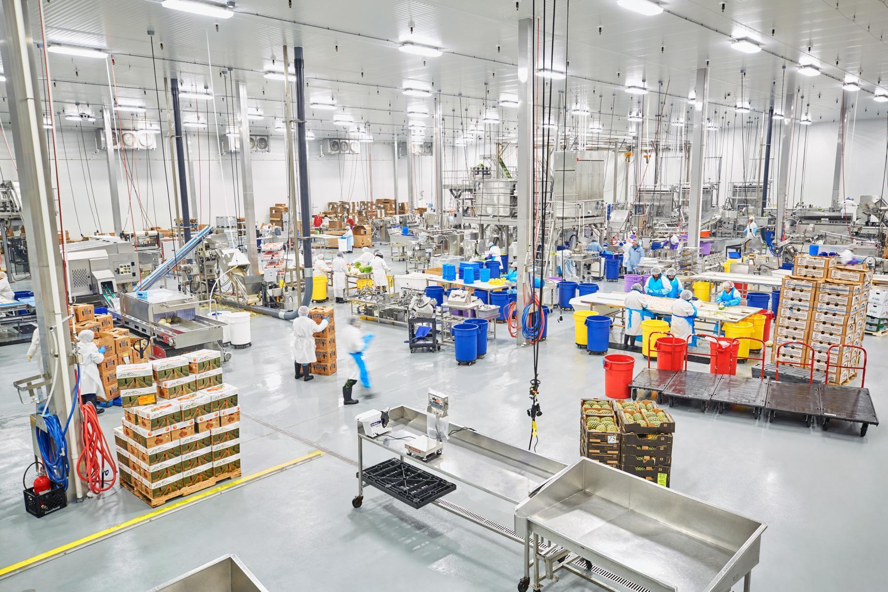 Warehouse Logistics Solutions